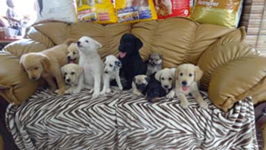 day care
